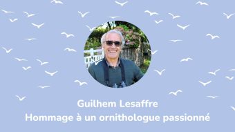 Portrait de Guilhem Lesaffre
